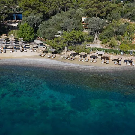 Willa Wam By Karma Bodrum